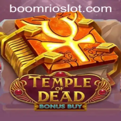 BoomRio Casino App