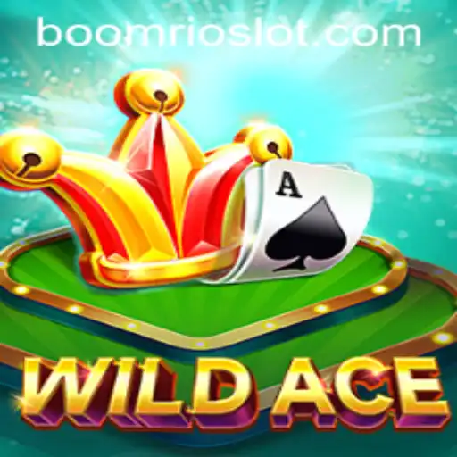 BoomRio Casino App